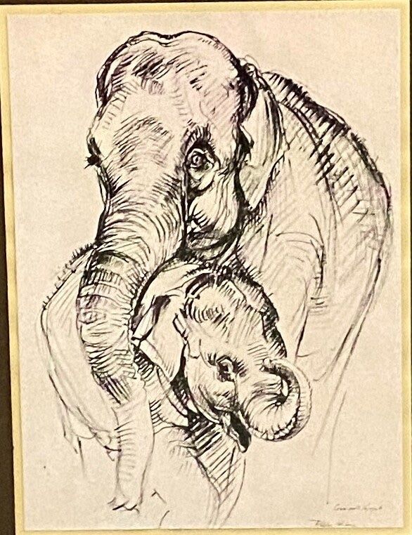 Dessin par Josef Woldemar Keller-Kühne éléphants XXe Le bébé