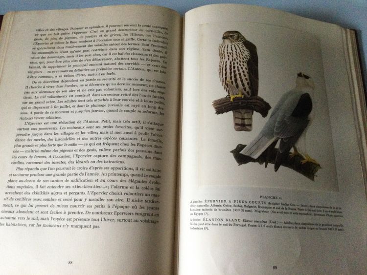 Due libri sugli uccelli