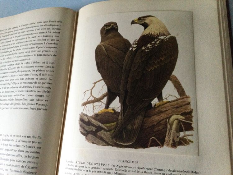 Due libri sugli uccelli