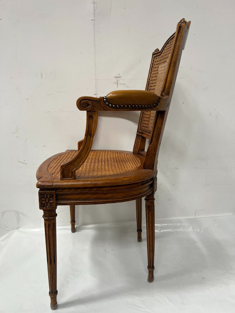 Louis XVI style office armchair in stained beech