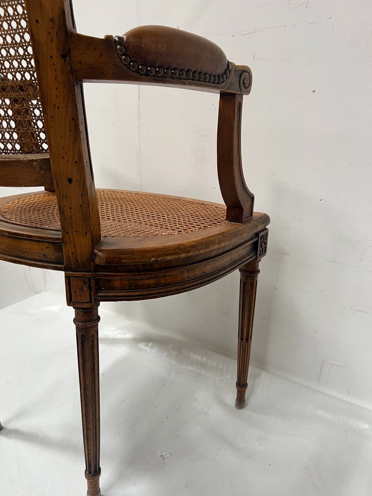 Louis XVI style office armchair in stained beech