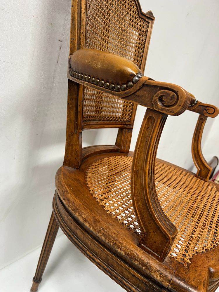Louis XVI style office armchair in stained beech