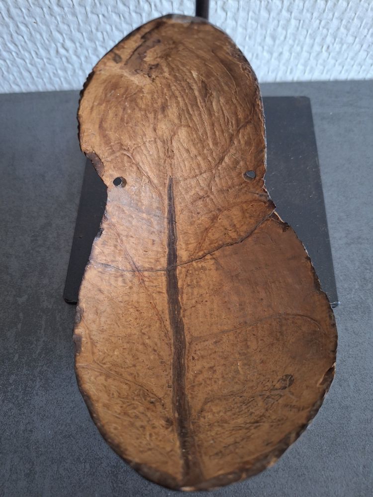 coupe en noix de coco Iatmul