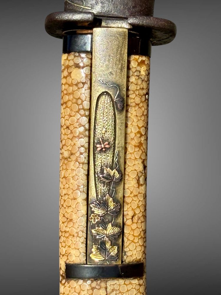 Tanto de samuraï, saya en galuchat - Période Edo (1603-1868).