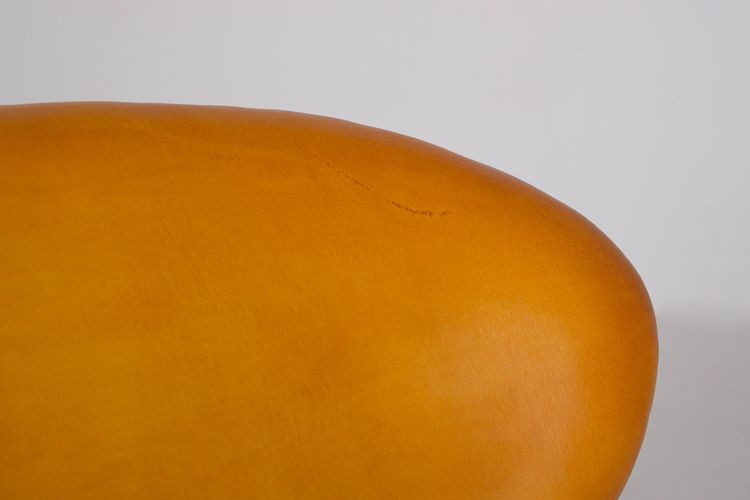 Fauteuil Swan en Cuir – Arne Jacobsen
