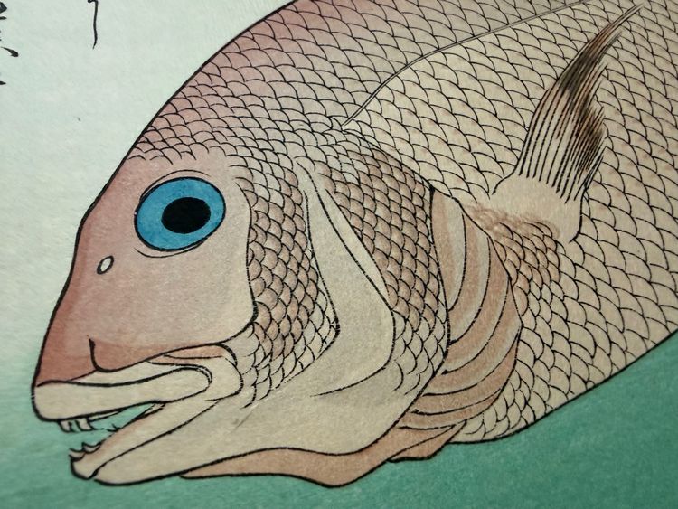 Utagawa Hiroshige – Various Fish: Sea Bream and Sanshō Branches