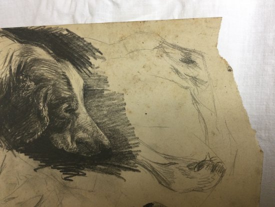 Drawing Workshop René Hérisson