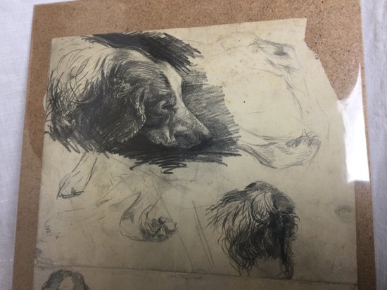 Drawing Workshop René Hérisson