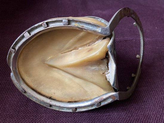 Calamaio a ferro di cavallo - XIX secolo