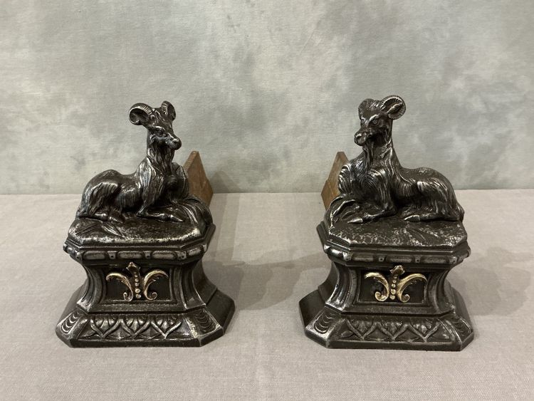 Pair of 19th century antique cast iron andirons