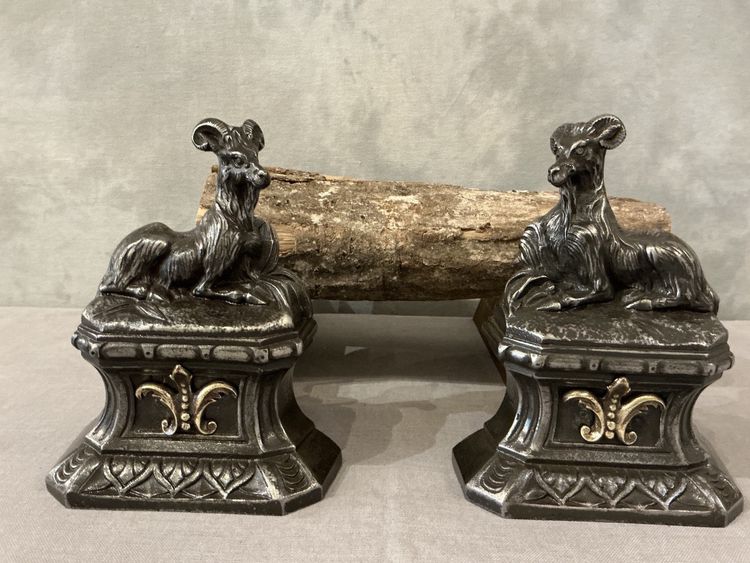 Pair of 19th century antique cast iron andirons