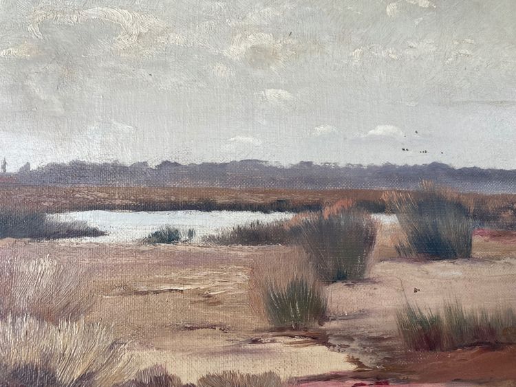 marsh landscape