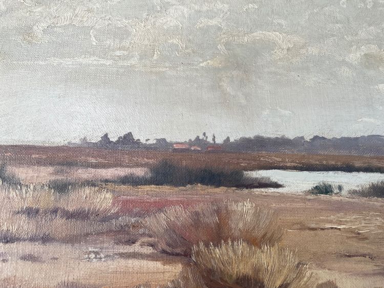 marsh landscape