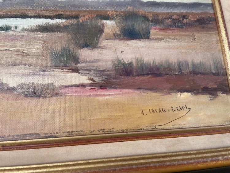 marsh landscape