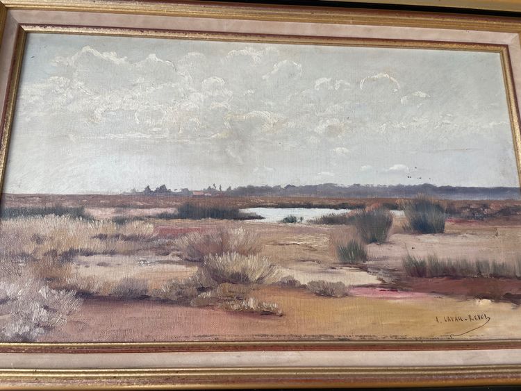marsh landscape