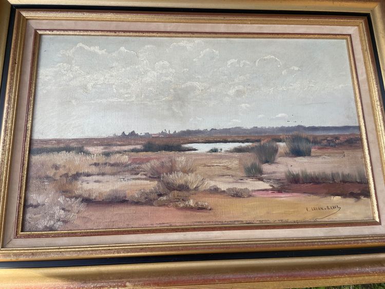 marsh landscape