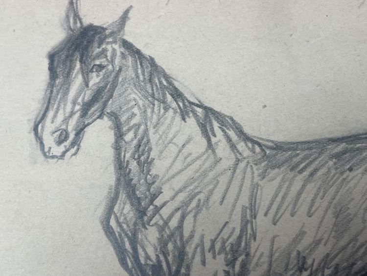Jeanniot's little horse