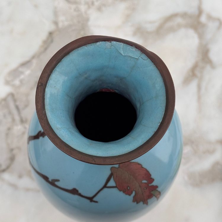 Cloisonné vase Japan XIXth decor of birds on a branch
