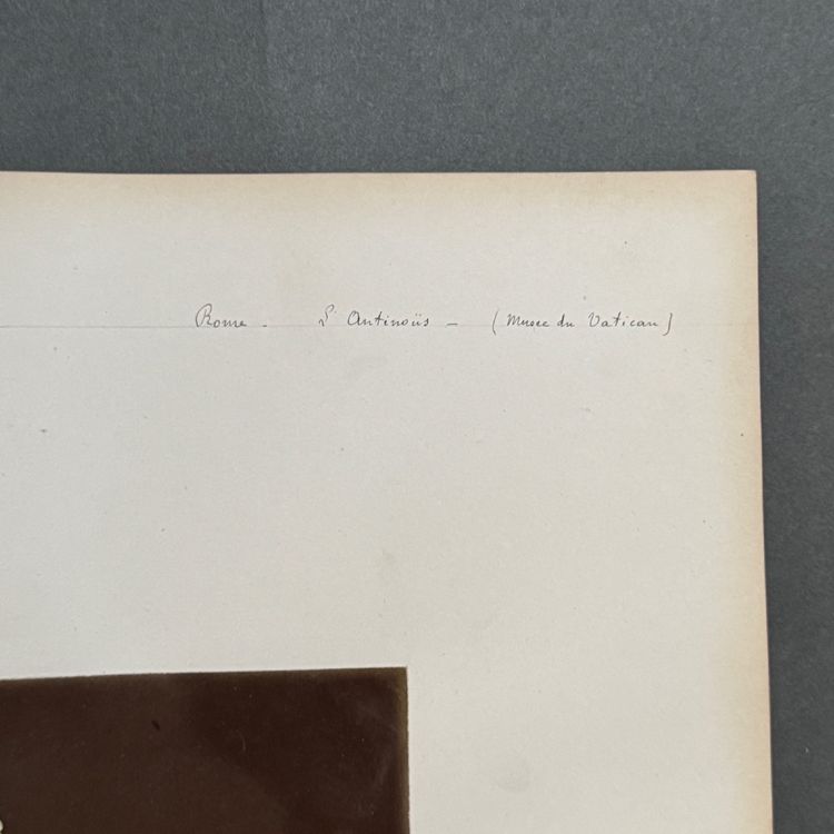 Immagine all'albumina di Antinoo - Musei Vaticani