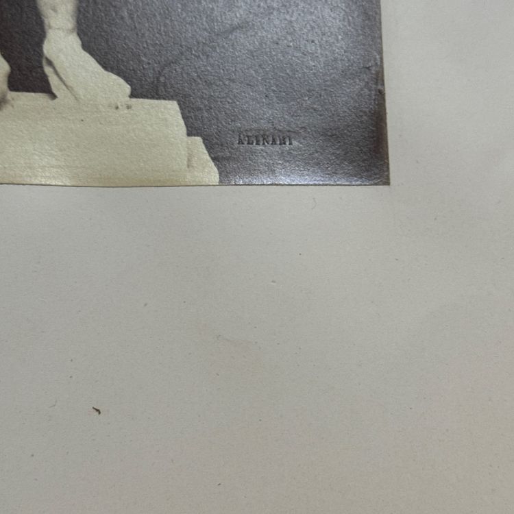Immagine all'albumina di Antinoo - Musei Vaticani