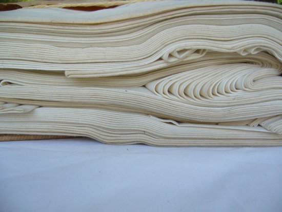 Large Métis Canvas Coupon