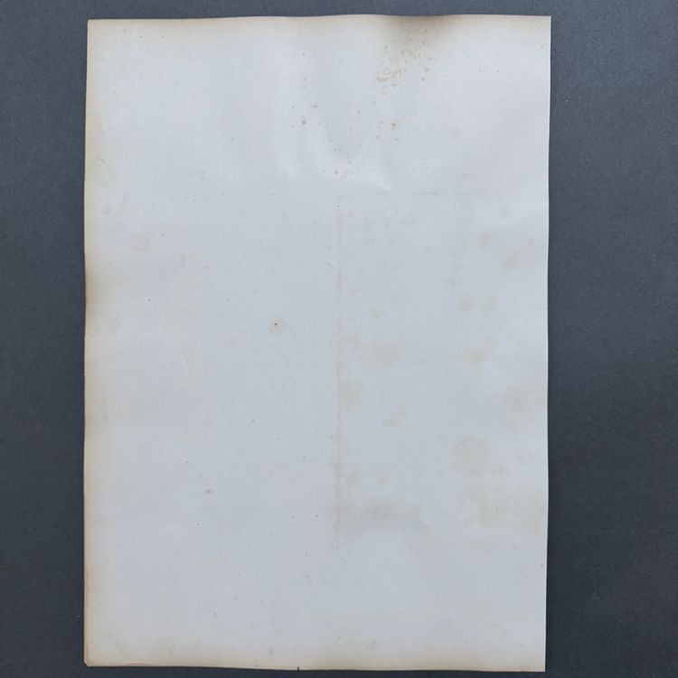 Foto all'albumina su cartone di Venere Callipigia XIX secolo
