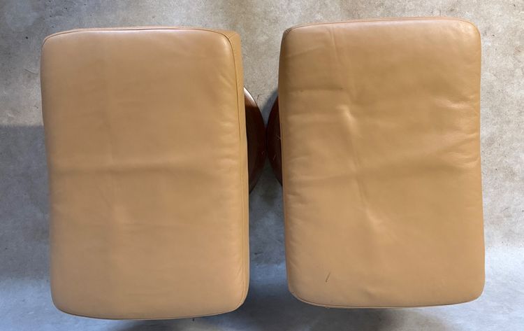 Coppia di pouf in pelle