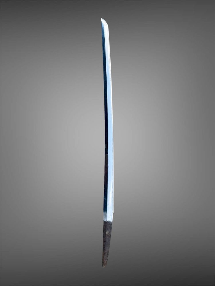 “Shikomi-zue” - wakizashi concealed in a cane, mounted in shirasaya - Kabun era (17th century).
