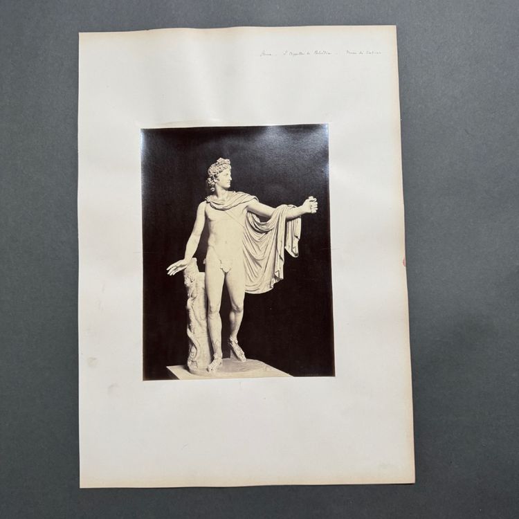 Albumen print of the Apollo Belvedere, Rome, Vatican Museums
