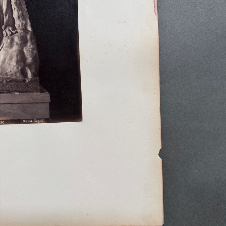 Albumen print mounted on cardboard depicting the Farnese Hercules, 19th century