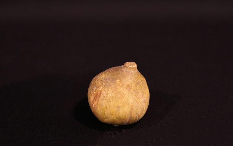 Faux fruits XVIIIeme siècle  Marbre 