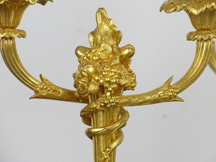 Pair of Gilded Bronze Candelabra in the Louis XVI Style from the Napoleon III period