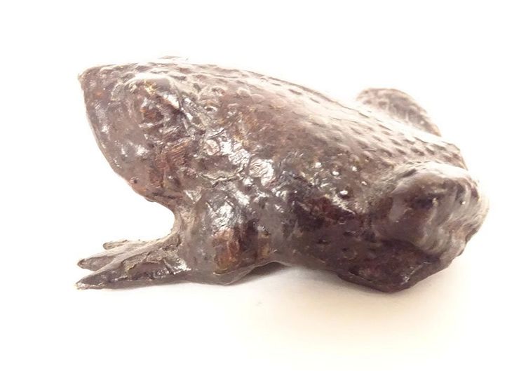 Okimono statuette weight calligraphic scholar bronze toad Japan 19th century