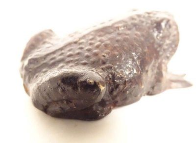 Okimono statuette weight calligraphic scholar bronze toad Japan 19th century