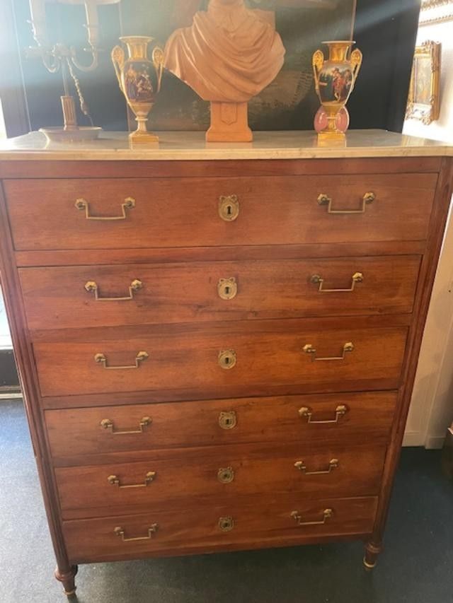 Grande cassettiera in noce in stile Luigi XVI