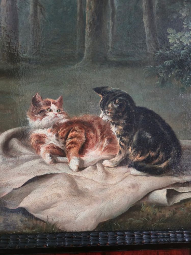 Scène de chats dans un sous-bois, huile sur toile, XIXe siècle.