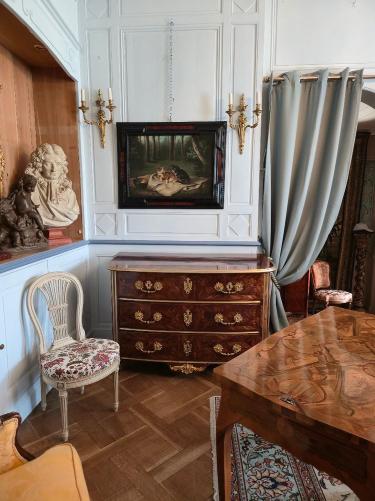 Scène de chats dans un sous-bois, huile sur toile, XIXe siècle.