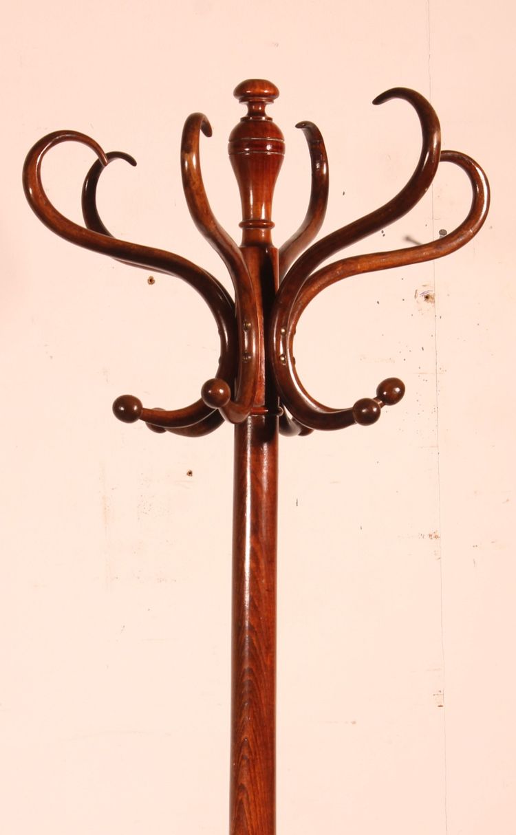 Porte Manteau perroquet, Art Nouveau, dit Thonet