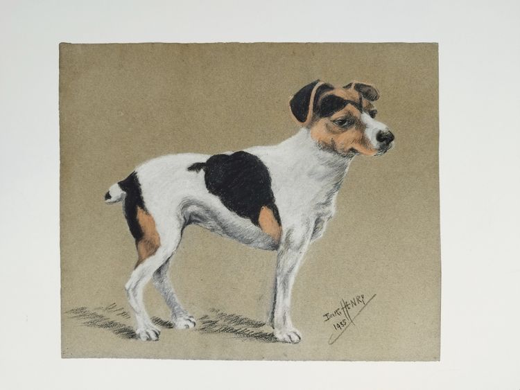Jack Russel chien Pastel par Berthe Henry 20ème