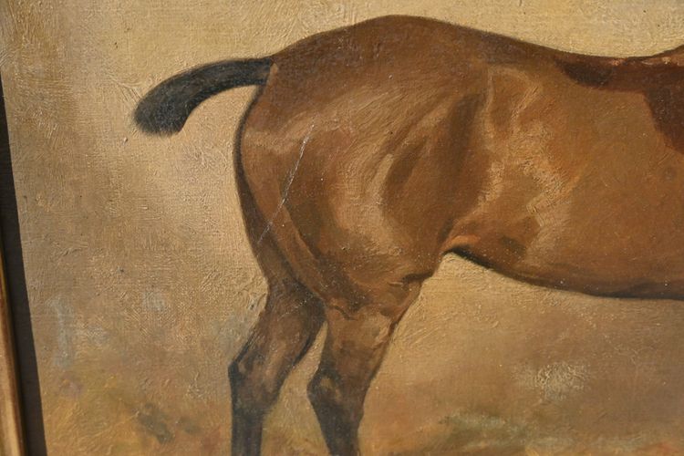 Cheval à l écurie , école du XIX