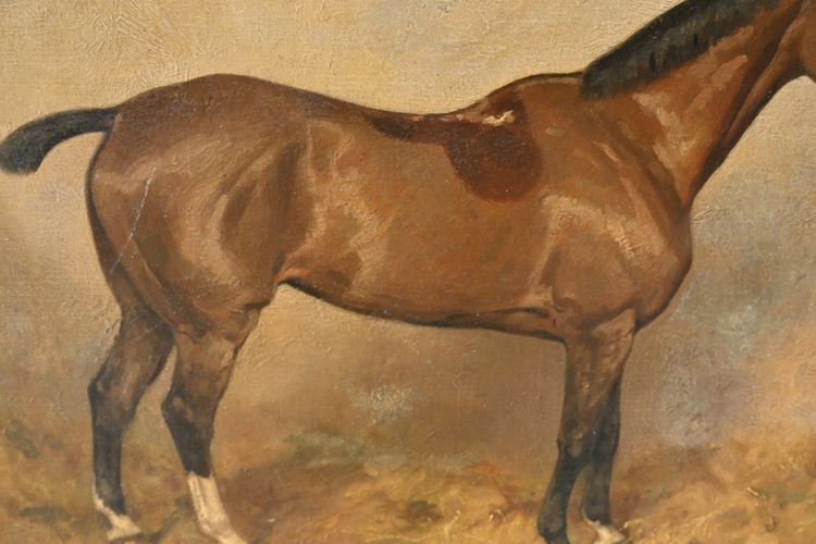 Cheval à l écurie , école du XIX