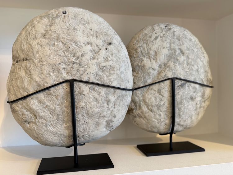 Septaria Concretion