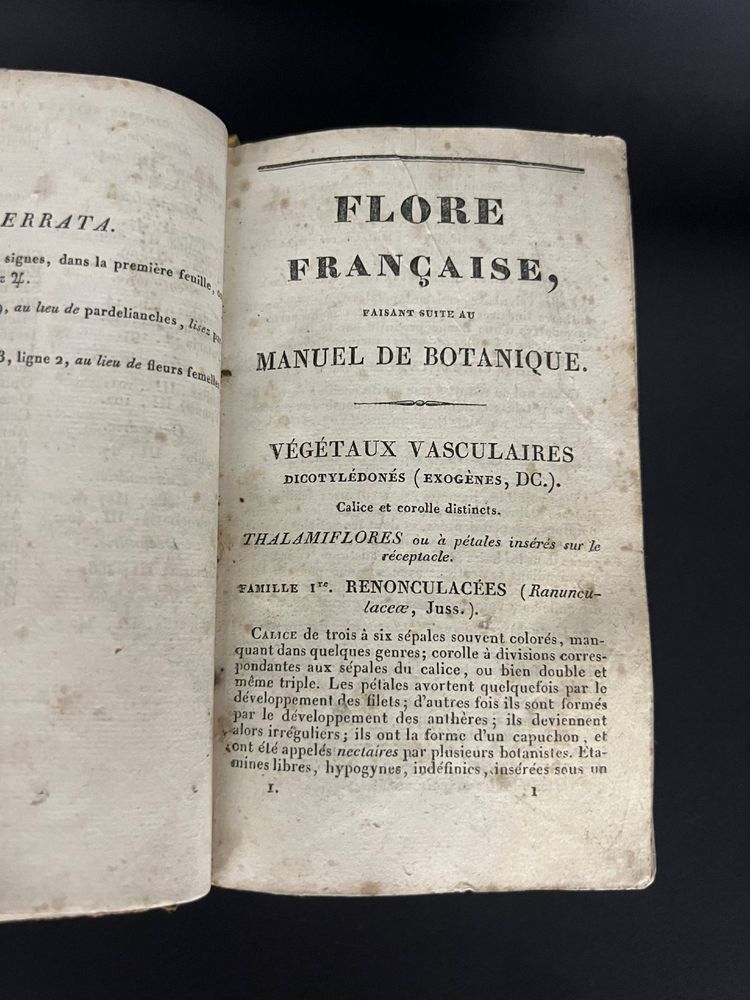 Antique book "Complete Manual of Botany – French Flora" – 1828