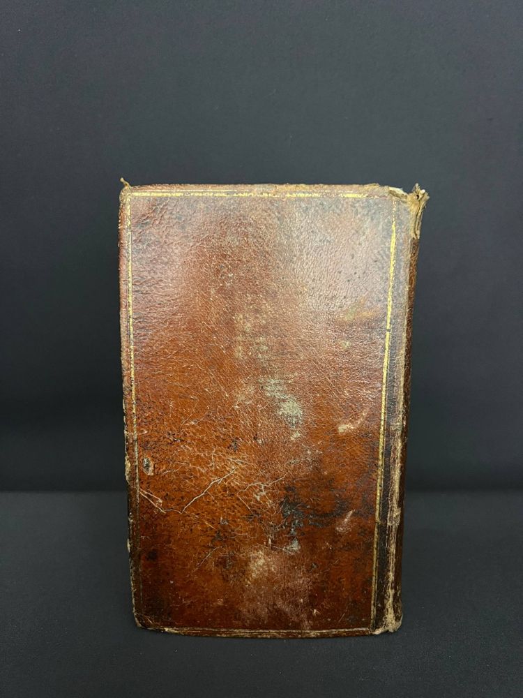 Antique book "Complete Manual of Botany – French Flora" – 1828