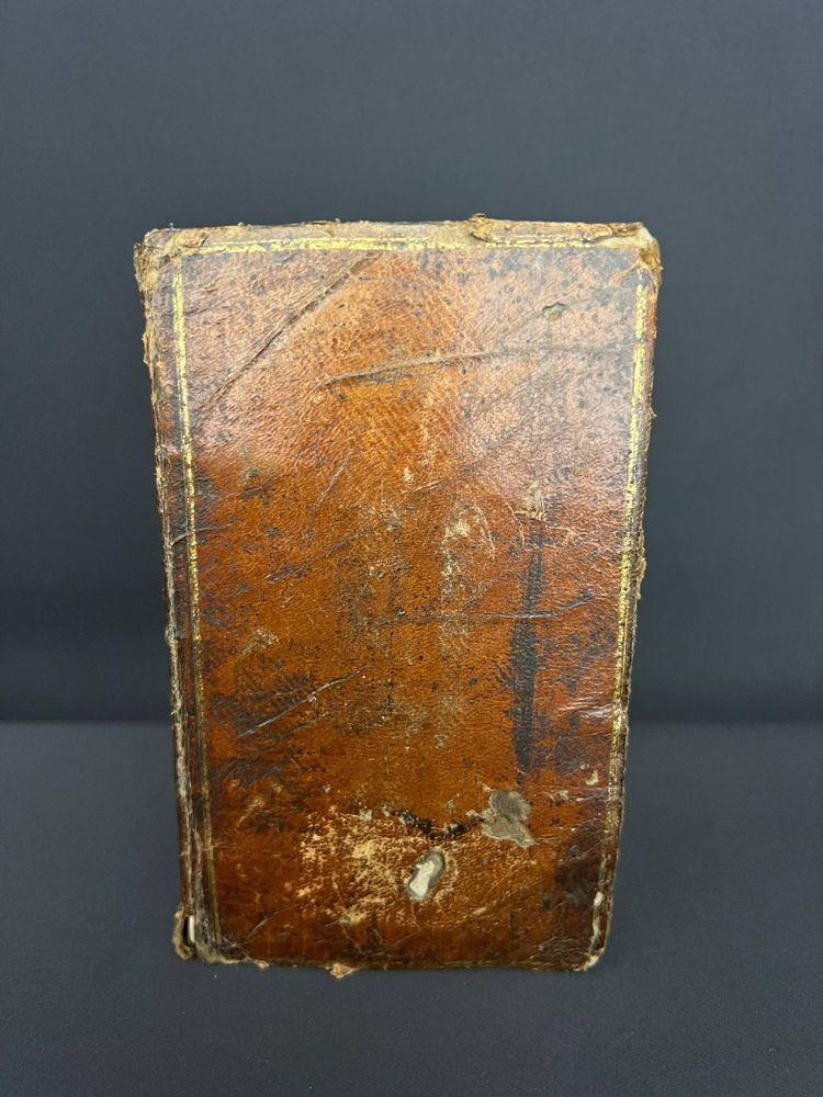 Antique book "Complete Manual of Botany – French Flora" – 1828
