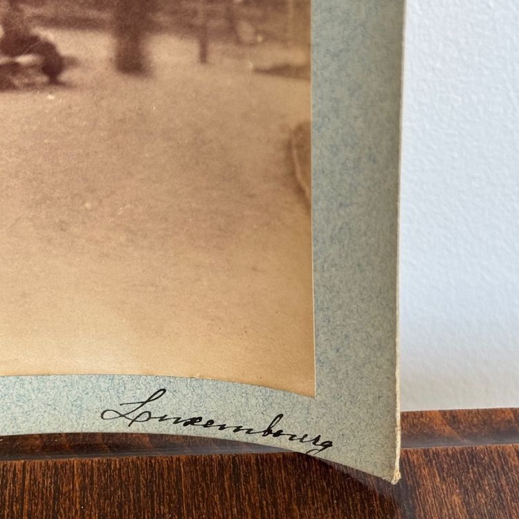 Stampa all'albumina montata su cartone, I Giardini del Lussemburgo, XIX secolo