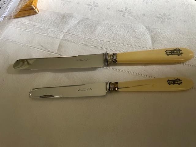 Set of 30 table knives and 24 cheese knives