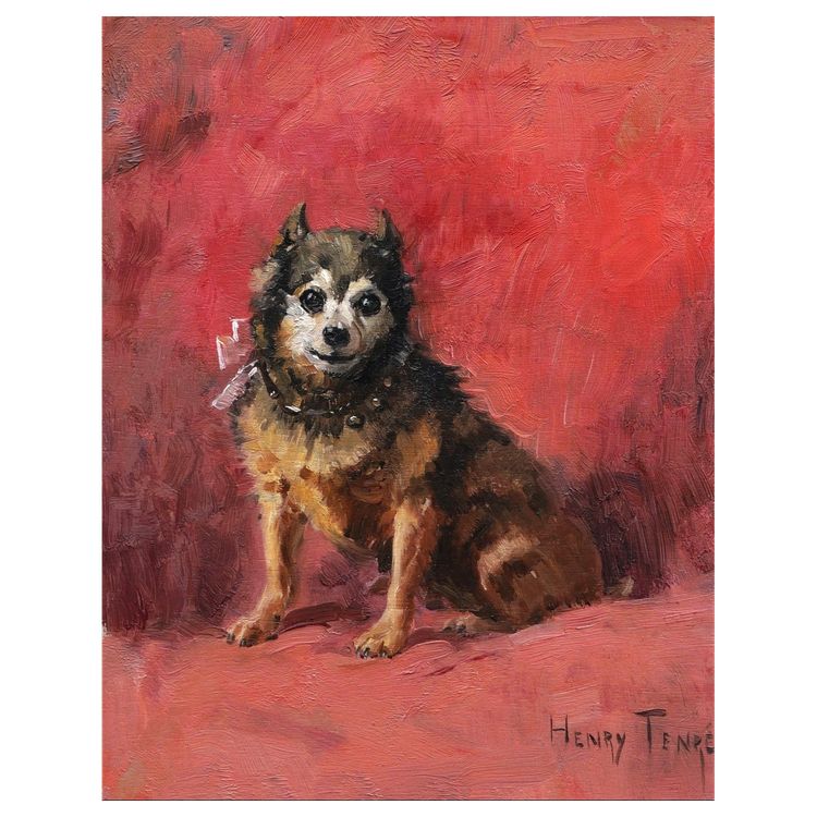 Charles Henry TENRÉ, Portrait de chien Husky-Chi, tableau