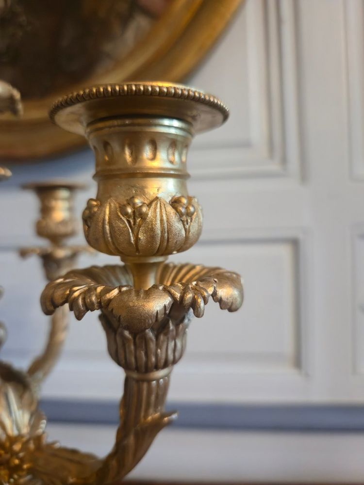 Pair of Louis XVI style gilt bronze candelabra, French neoclassical work circa 1900