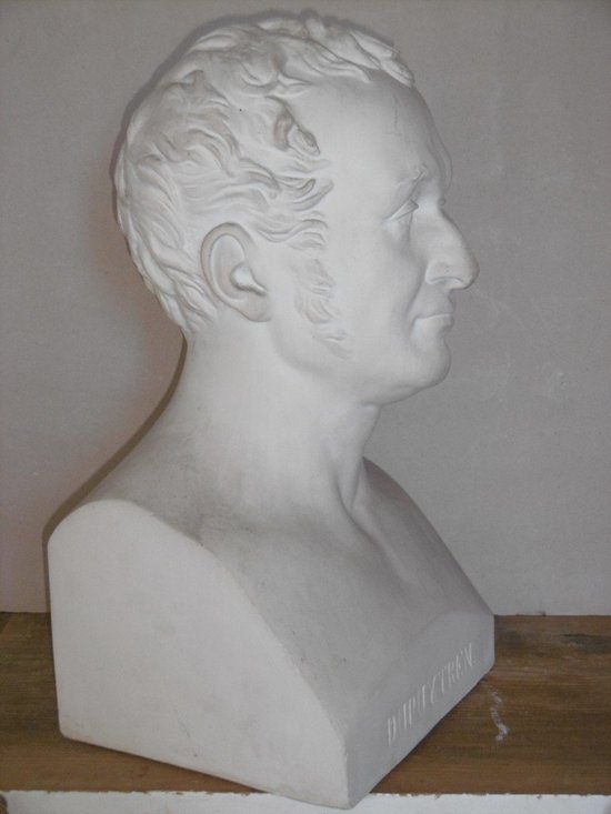 Bust Of Baron Dupuytren
